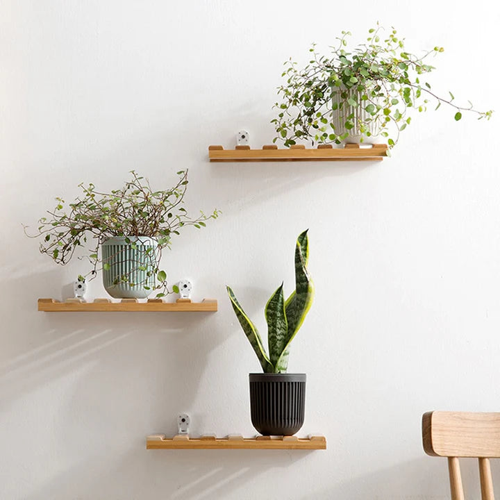 Minimalist Shelf Wooden Shelf